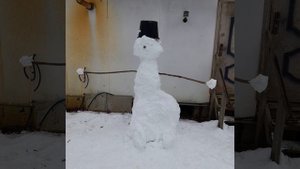 Мой снеговик