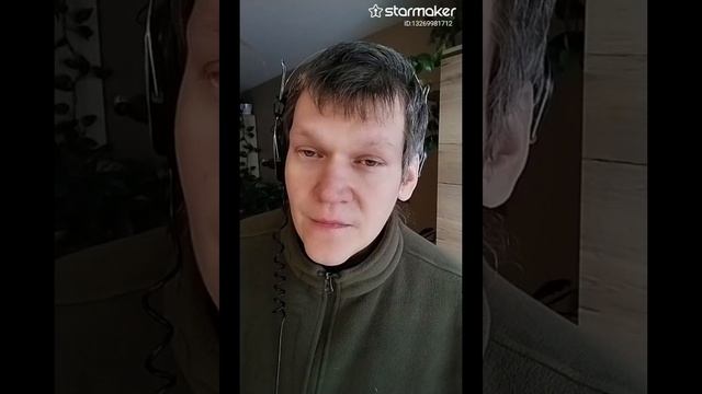 StarMaker_Сергей Любавин - За любовь_solo_2025-03-02_video