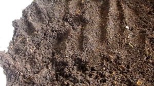 18 Sotok. Сверхострый перец на подоконнике. Выпуск №2.