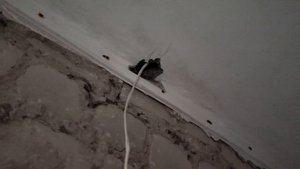 Прокладка кабеля по потолку