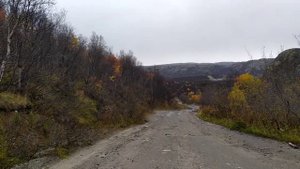 Кольский полуостров. Увезу тебя я в тундру