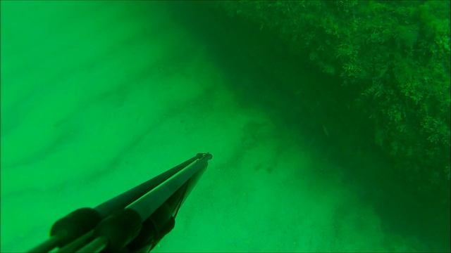 Глосса смотреть онлайн