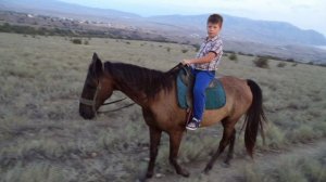 Звездопад воспоминаний, Судак, Крым, 16