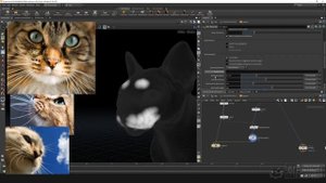04 Guides Whiskers Part 1