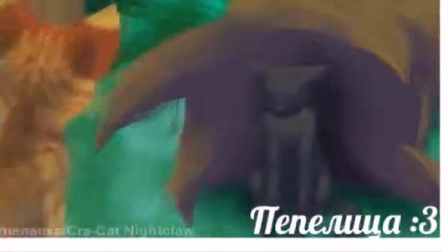 Коты воители/Sorry about your parents смотреть онлайн