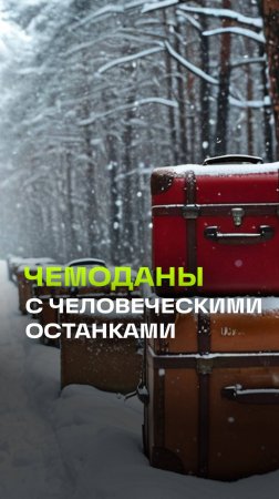 Чемоданы с человеческими останками нашли на берегу Невы. В убийстве подозревают супругов