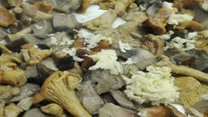 Паста с лесными грибами и сыром