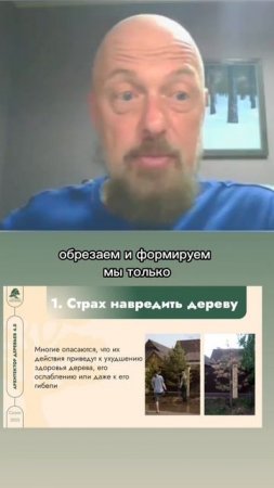 Страхи при обрезке деревьев. Часть 1