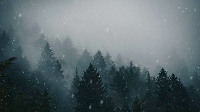 Сатсанг 23. Вечное счастье. Роберт Адамс. смотреть онлайн