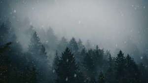 Сатсанг 23. Вечное счастье. Роберт Адамс.