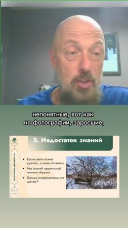 Страхи при обрезке деревьев. Часть 3