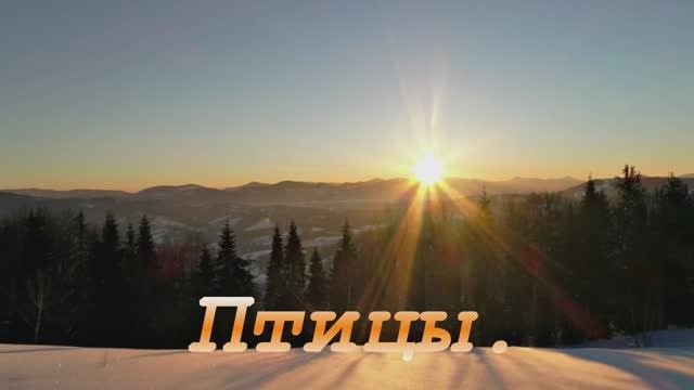 Птицы.
