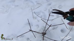 Зима всё! Работы в саду.