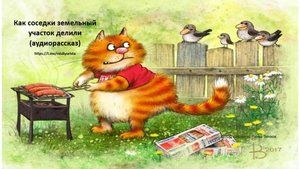 Как две соседки участок делили