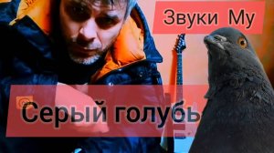 Rabbit`s Birthday - Серый голубь (Звуки Му) кавер