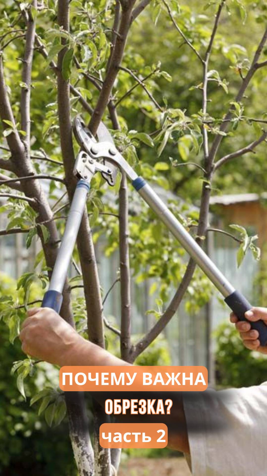 Почему важна обрезка? Часть 2 смотреть онлайн