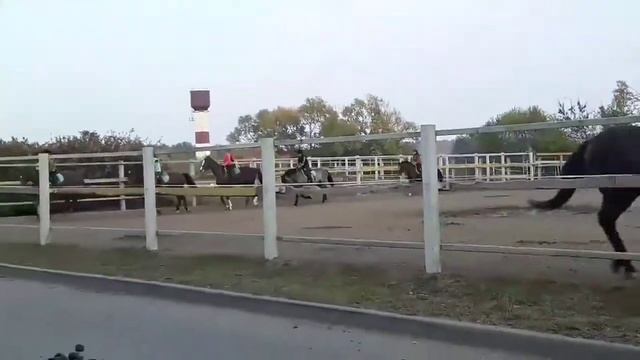 Тренировка на Гетмане смотреть онлайн