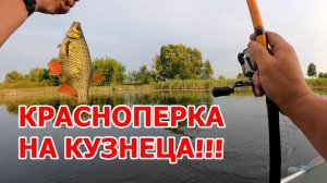 КРУПНАЯ КРАСНОПЕРКА НА КУЗНЕЧИКА УДОЧКОЙ С ВОДОНАЛИВНЫМ ПОПЛАВКОМ!