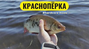 #мормышинг | ЖИРНАЯ Красноперка на каждом забросе | Gamakatsu LUXXE Yoihime Ten S48AL-solid |