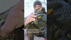 Боец на Покровском направлении показал,  какие растяжки ставит враг