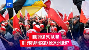 «Одни пьют, другие ездят на дорогих иномарках»: поляки устали от украинских беженцев