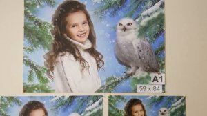 Скачайте свои фото от Сюжетной линии