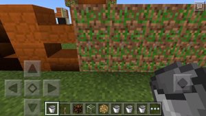 Неизвестный блок в Minecraft ?!