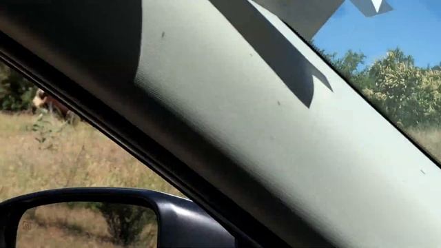 Sequoia National Park смотреть онлайн