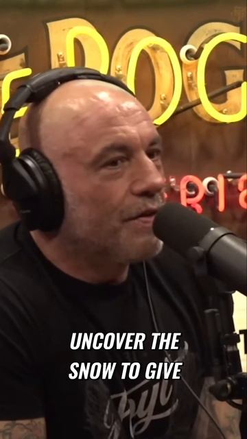 Discovering the Diet of Arctic Animals Muskox and Arctic Hare смотреть онлайн