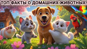 ТОП ФАКТЫ О ДОМАШНИХ ЖИВОТНЫХ! ДЕТСКИЕ ПОЗНАВАТЕЛЬНЫЕ ИСТОРИИ ДЛЯ ДЕТЕЙ | МУЛЬТИК | СКАЗКИ |