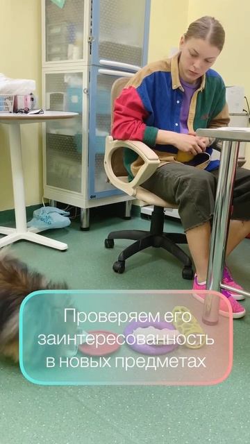 Балу, который не может молчать смотреть онлайн