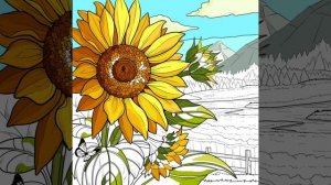 раскраска 5