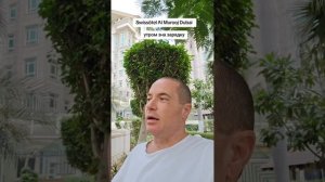 swissotel al murooj hotel 5* (downtown) Дубай 2025