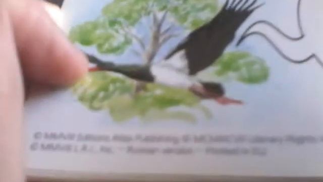 Чёрный аист смотреть онлайн