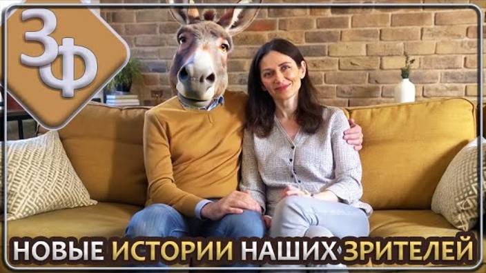 201 Ты выйдешь замуж за осла ｜ Истории наших зрителей