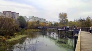 Оренбург Экологическая тропа  Утиный концерт... песни с плясками...   Видео Виктор Поживин