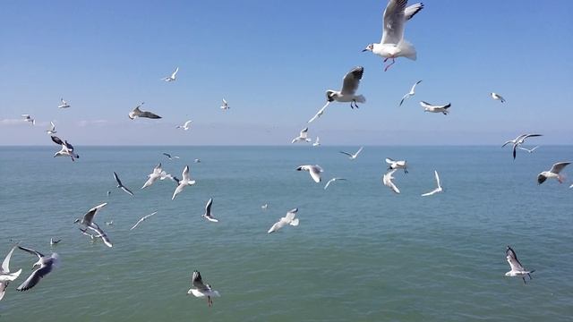 природа