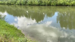 Лето! Речка! Отдых!