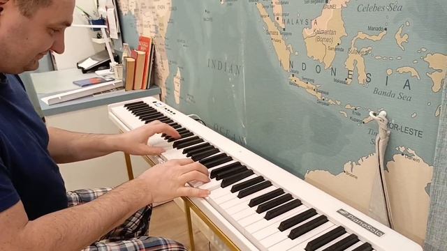 Складное пианино PianoSolo