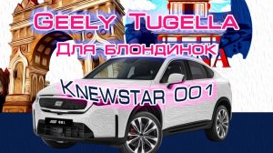 Geely Tugella - обзор китайского автомобиля / Благовещенск граница с Китаем