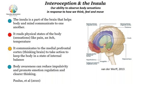 Community Resiliency Model: An Innovative Approach to Addressing Burnout смотреть онлайн