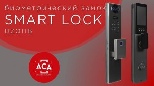 Биометрический замок Smart lock DZ011B обзор