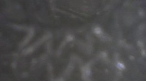 Катализатор изнутри 1