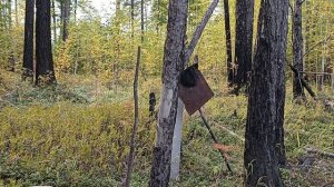 Таежное озеро. Старый заброшенный лагерь. Эпизод 🐻