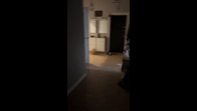 Распаковываю ваши посылки с МАМОЙ (не стоило этого делать..) смотреть онлайн