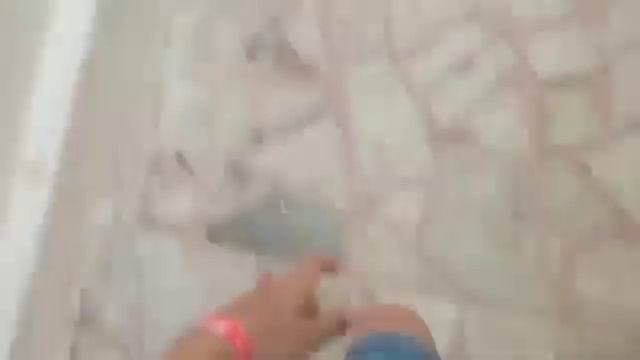 Как ухаживают за животными в Турции смотреть онлайн