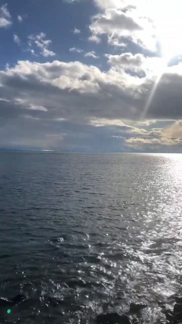 Дайте мне крылья #nature #шорст #бурятия #друзья #отдых #юмор #байкал смотреть онлайн