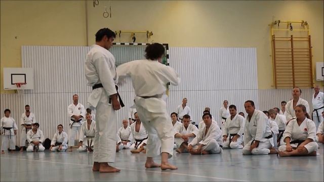 Andre Bertel Karate Seminar: Krefeld, Germany, 2017 смотреть онлайн