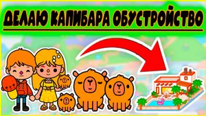 ТОКА БОКА СЕРИАЛ ОБУСТРОЙСТВО ДОМА КАПИБАРЫ