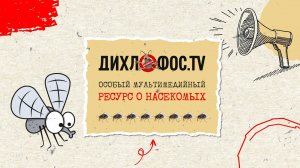 ДИХЛОФОС.TV. Выпуск №13. Встреча с детской писательницей Мариной Дороченковой